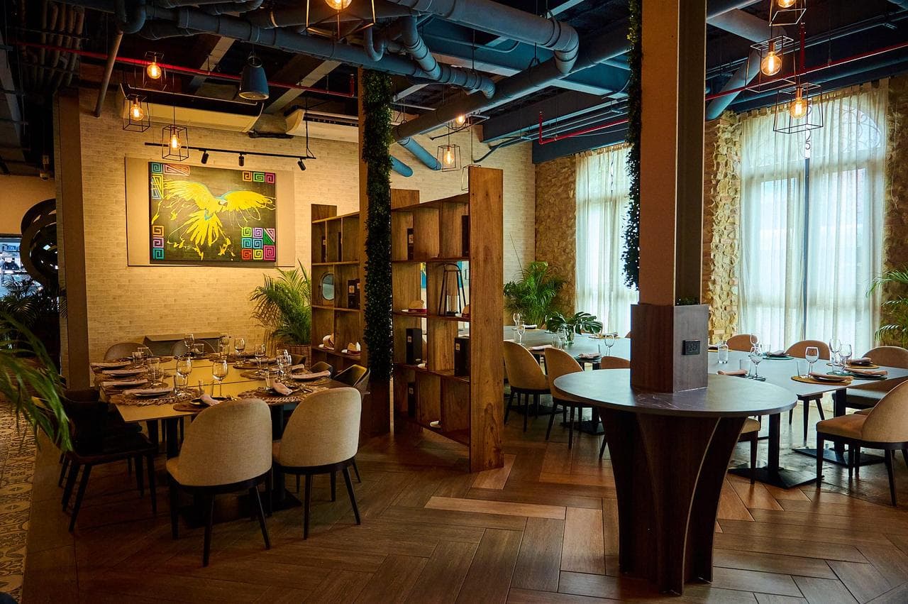 Aya la Vida — Gallery 11
